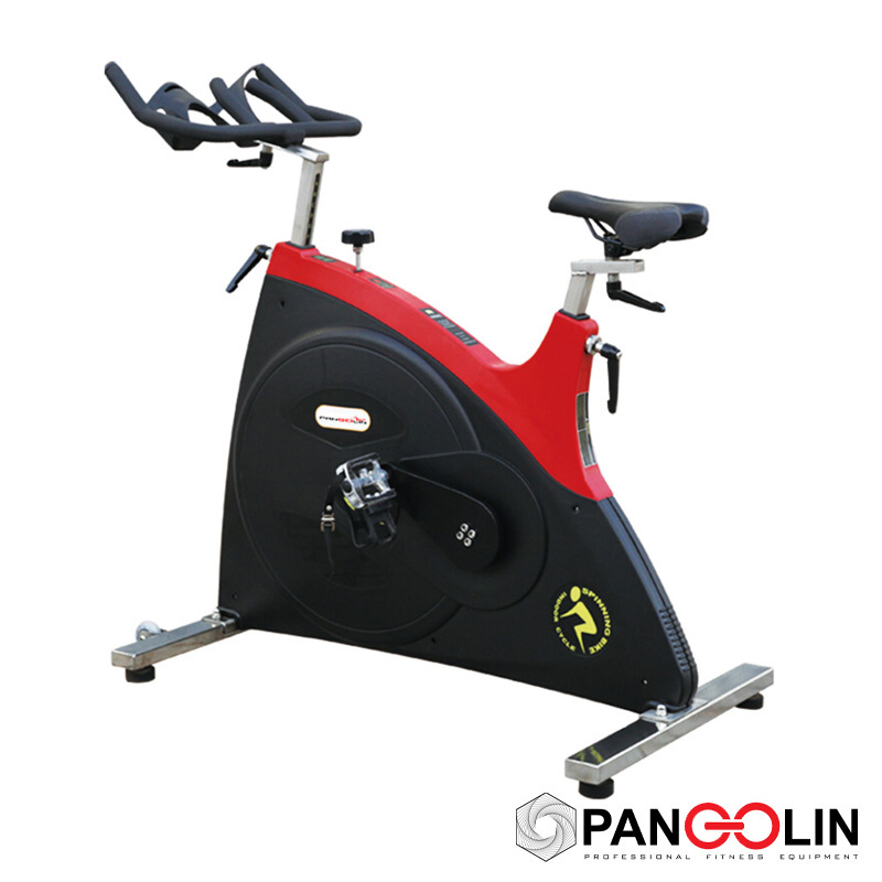 Спинбайк Pangolin Fitness 7010